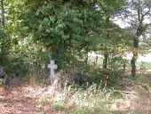 Croix de chemin dite Dom Juan, la Chiffardière (Dingé)