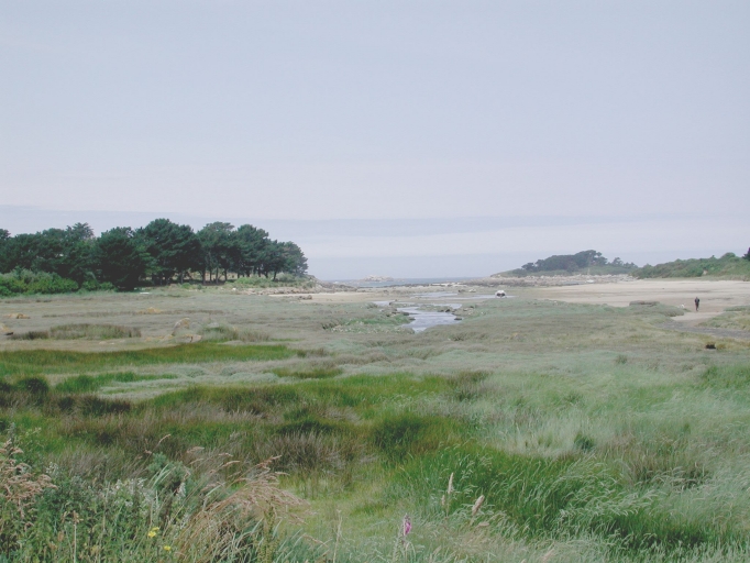 Marais de Kerlavos (Trégastel)