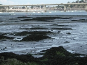 Viaduc du Frémur, Pointe du Grognet (Lancieux)