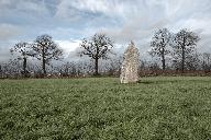 Menhir dit La Pierre Blanche, le Champ de la Pierre Blanche (Pocé-les-Bois)