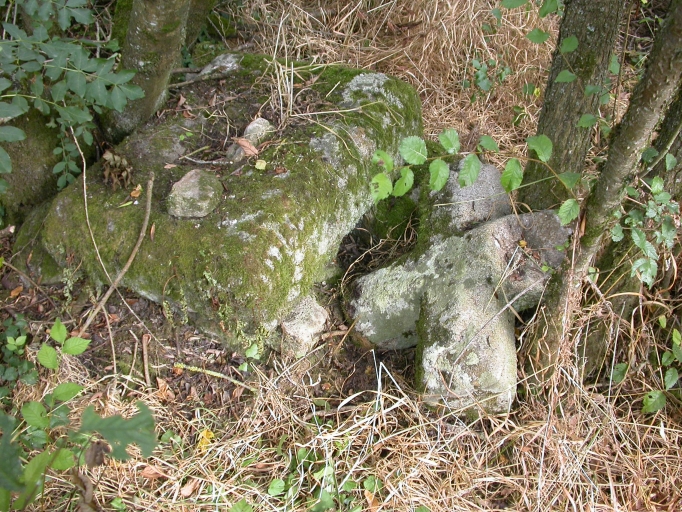 Croix de chemin, Locqueltas (Locoal-Mendon)