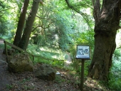 Sentier botanique, le Perdrix (Lézardrieux)