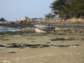 Bateaux de plaisance