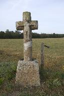 Croix, la Dodelinière (Saint-Rémy-du-Plain)