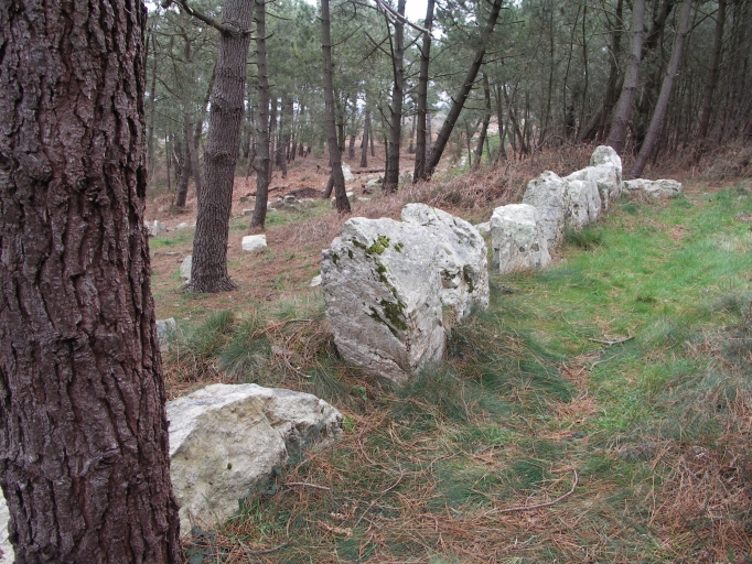 Alignement mégalithique dit de Ty Ar C'huré, Montourgard (Crozon)