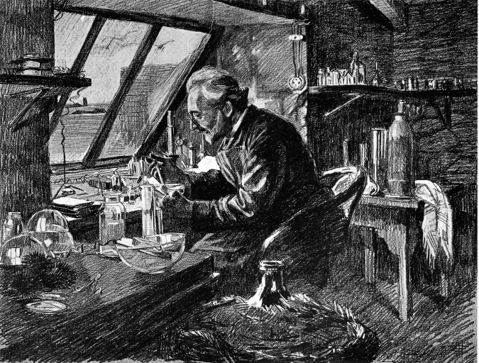 Iconothèque 2 (Yves Delage)