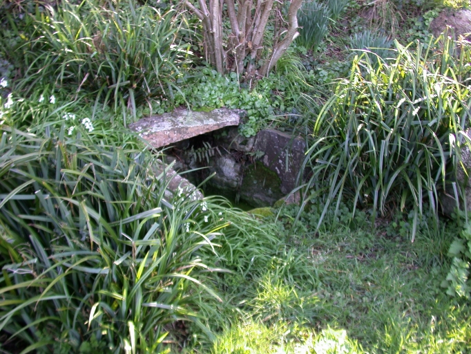Fontaine, Loguel-Ty-Crec'h (Trévou-Tréguignec)