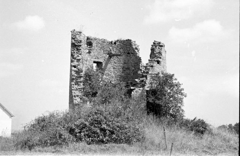 Moulin à vent, Moulin des Masses (La Ville-ès-Nonais)