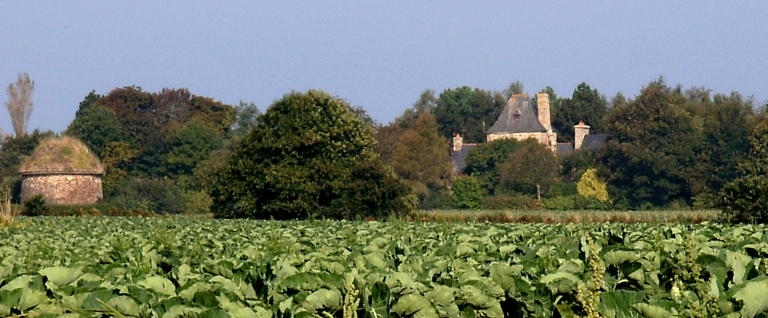 Manoir de Kerpeulven (Penvénan)