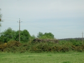 Moulin à vent du Marais, le Pertuis Néanti (Paimpont)