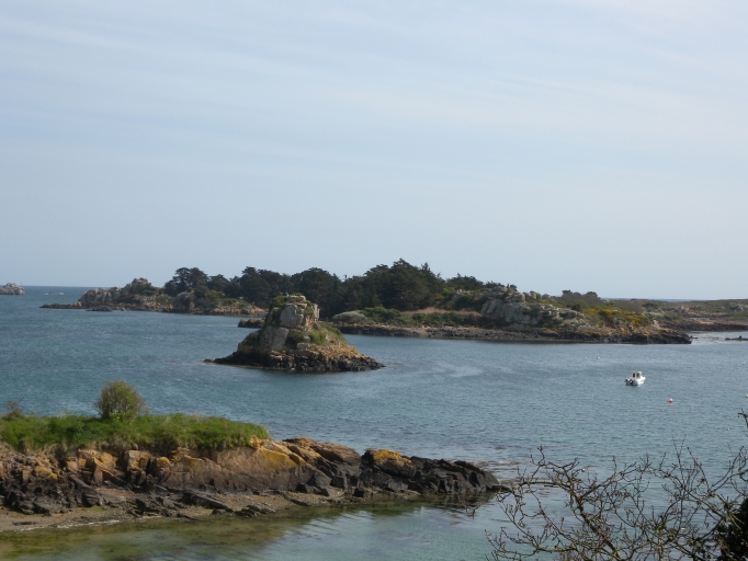 Écart : Lavrec (île de Bréhat)