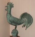 Coq