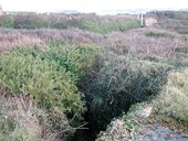 Tranchées (réseau de), à l'extérieur du fort, Ile Cézon (Landéda)