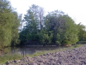 Motte féodale, la Motte (Meillac)