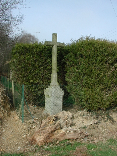 Croix de chemin, la Croix des Bourgeons (Thorigné-Fouillard)