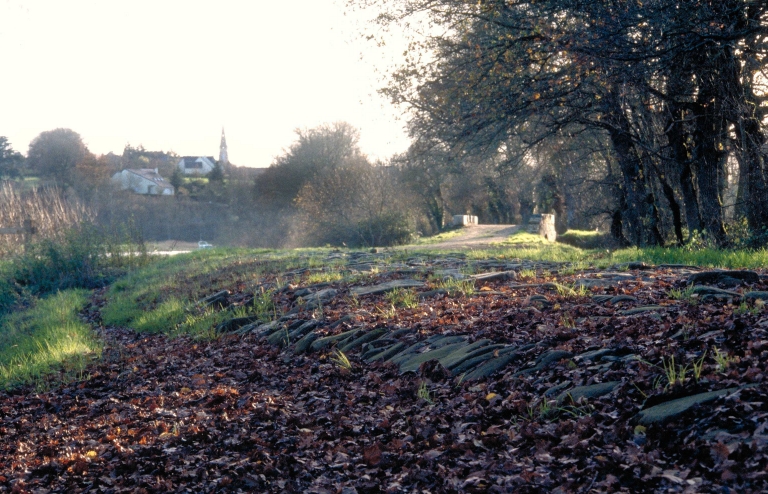 Route, ancienne voie romaine (?), près de C.R. 96, près des Courtils de Guerbouis (Langon)
