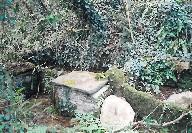 Kanndi du Crec Bras (Irvillac)