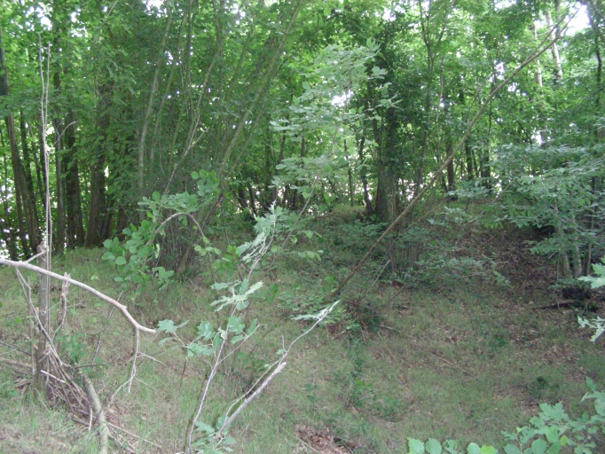 Edifice Fortifié, l'Hermitière (Orgères)