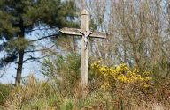 Croix de chemin, la Bégasserie (Plélan-le-Grand)