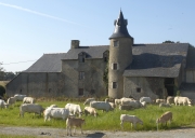 Manoir et ferme, la Jousselinais (Noyal-Châtillon-sur-Seiche)