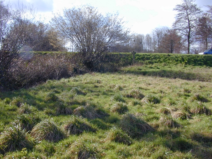 Digue de l'étang de la Rivière, route départementale 794 (Saint-Léger-des-Prés)