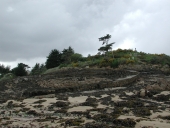 Cale Nord de l'Île Béniguet, le Kerpont ; Roc'h an Gored (île-de-Bréhat)