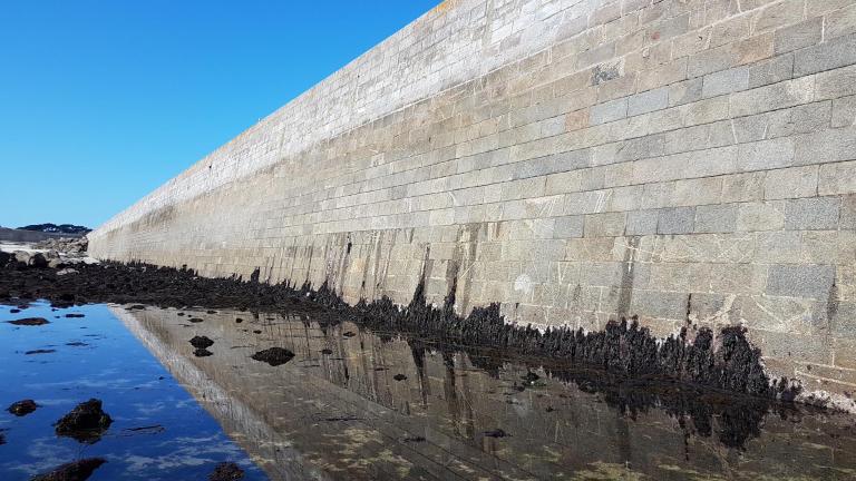 Môle (île-de-Batz)