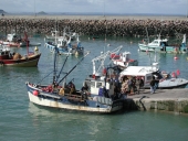 Bateaux de pêche côtière d'Erquy