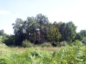 Motte castrale, le Ros (Maure-de-Bretagne fusionnée en Val d'Anast en 2017)