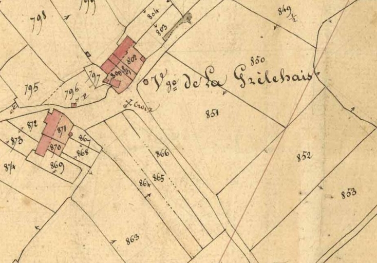 Ecart, la Grèlehais (Vignoc)