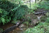 Fontaine et buanderie, Dividou (Plounéour-Ménez)