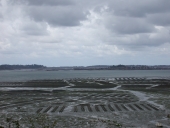 Exploitation ostréicole, en mer (Paimpol)