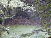 Carrière, les Grippeaux (Montfort-sur-Meu)