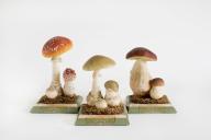 Maquettes de champignon, lycée Ernest Renan (Saint-Brieuc)