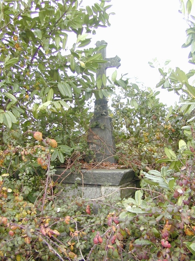 Croix de chemin, près de la Remaudais (Sixt-sur-Aff)