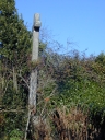 Croix de chemin, Lécusset (Cuguen)