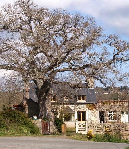 Maison, la Ville-Gléhen (Pordic)