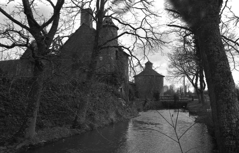 Manoir, La Douettée (Laillée)