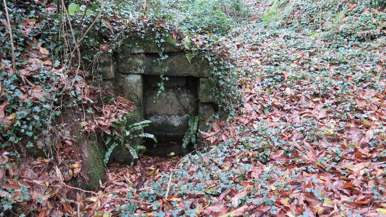 Fontaine de Lapic (Plufur)