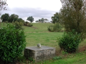Croix de chemin, Villaine (Gennes-sur-Seiche)
