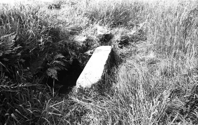 Chapelle Notre-Dame-de-la-Consolation, Mousterien (Gourin)