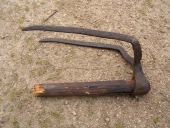 Outil de goémonier : croc