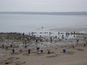 Outils de pêche à pied