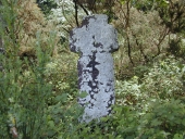 Croix de chemin, près de Trécouët (Plélan-le-Grand)