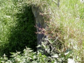 Pont, le Gué de Neuville (Andouillé-Neuville)