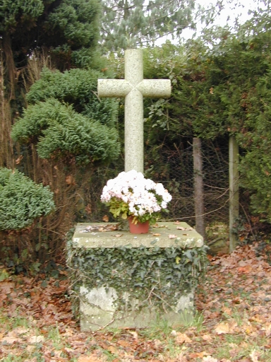 Croix de chemin, les Croix (Sixt-sur-Aff)