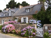 Maison, le Roudour (Plougrescant)