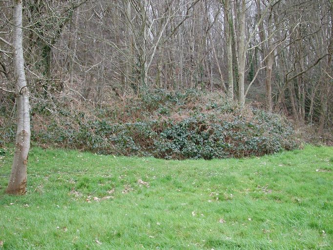 Blockhaus, Roc'h C'hlaz (Carantec)