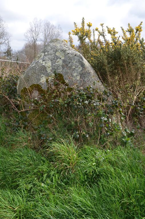 Menhir de la ferme du Run (Ploubezre)