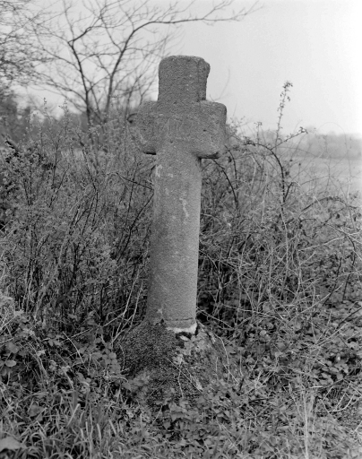 Croix de Chemin, la Bréhaudière (Plémet)